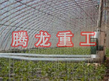 大棚花卉供暖設(shè)備、大棚卉采暖設(shè)備、大棚花卉取暖設(shè)備