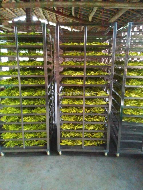 黃花菜烘干機(jī)、黃花菜烘干設(shè)備、黃花菜干燥機(jī)、黃花菜干燥設(shè)備、